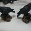 Black Raven Figurines