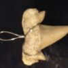 Shark Tooth Fossil Pendant